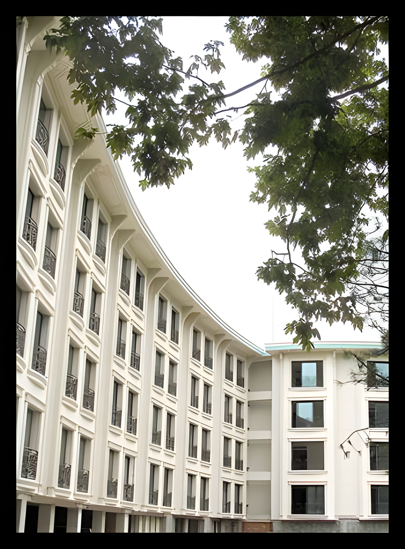 Ağaçlar arasından görülen kavisli beyaz precast cephe