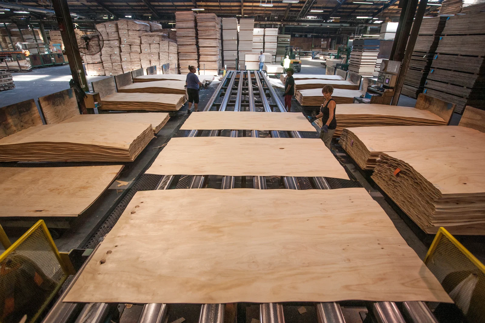 Plywood