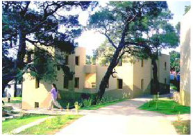 ECETUR Sorgun holiday village among pine trees