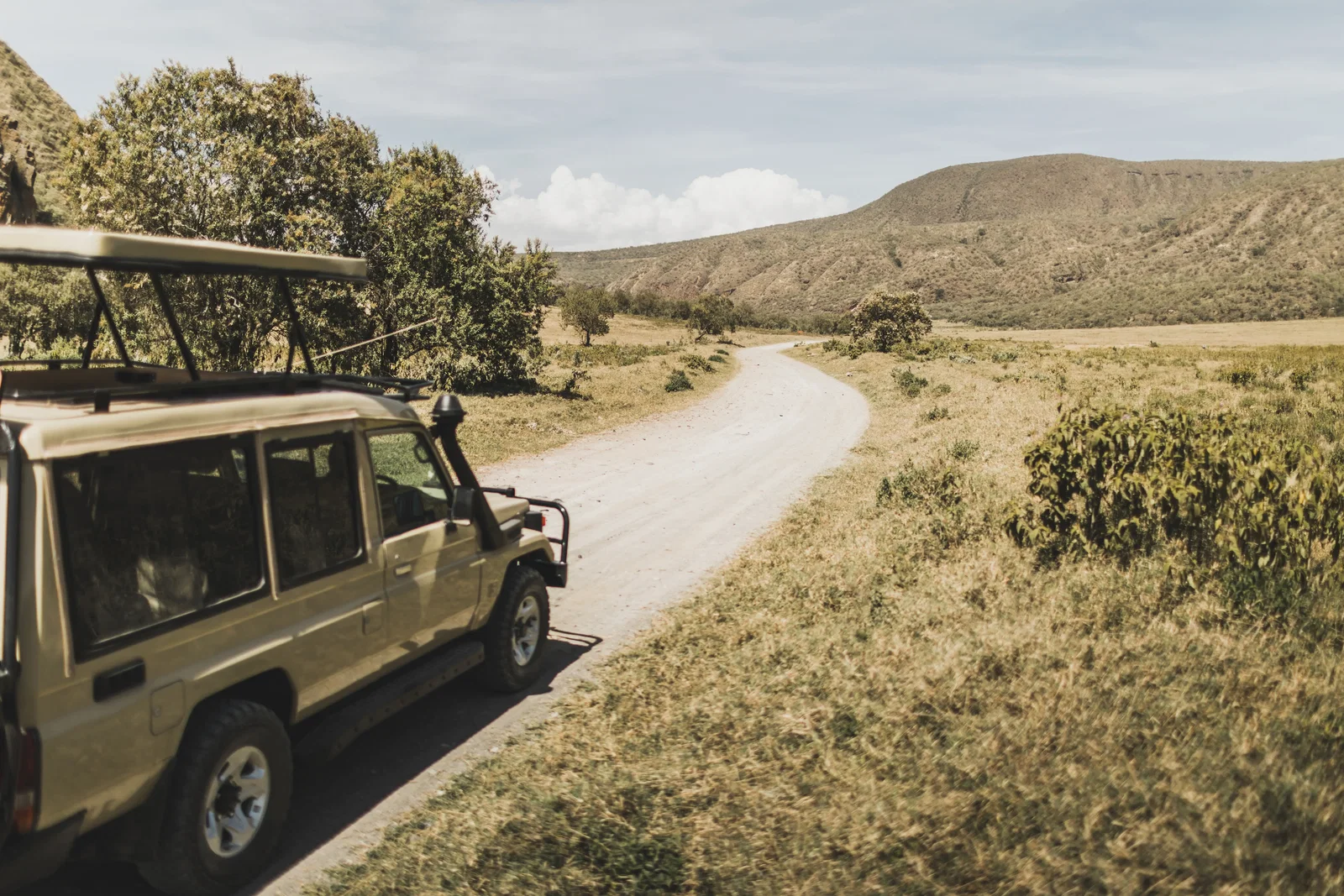 4x4 Safari